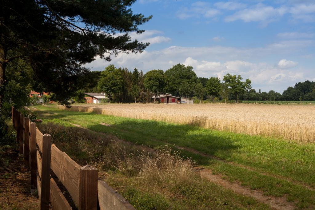 Ferienhaus Heideland Winsen Aller Meißendorf Habitación foto