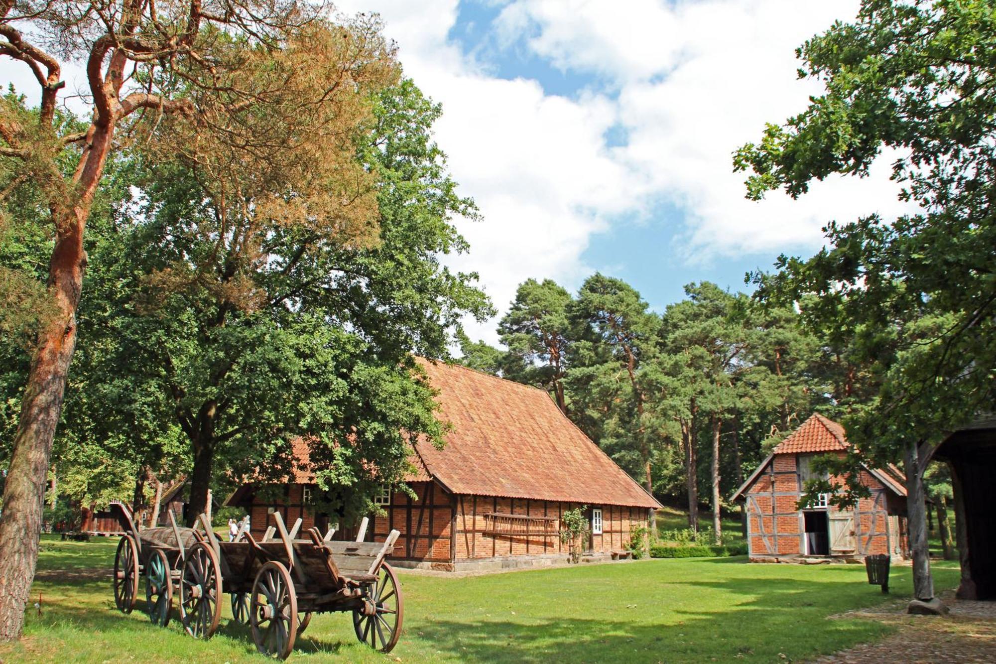 Ferienhaus Heideland Winsen Aller Meißendorf Exterior foto